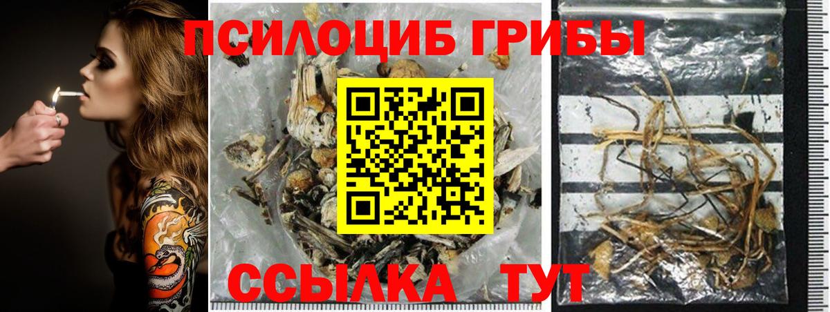 Галлюциногенные грибы мицелий Берёзовский