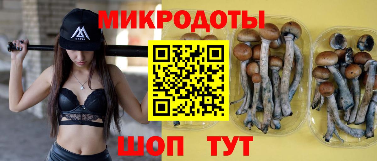 Псилоцибиновые грибы GOLDEN TEACHER  Вход с VPN  Берёзовский  Псилоцибиновые грибы GOLDEN TEACHER 