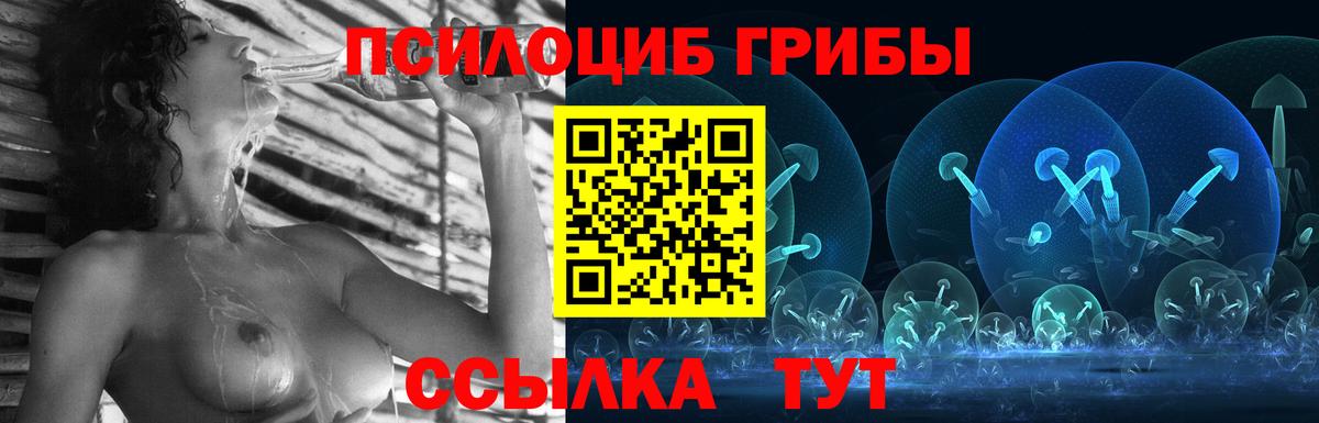 Галлюциногенные грибы Psilocybine cubensis  Берёзовский 